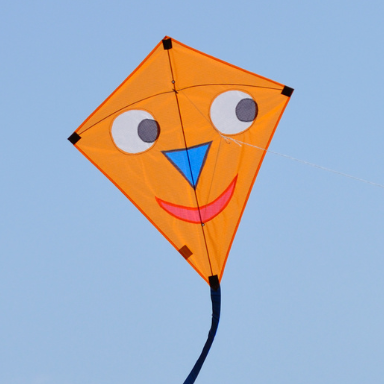 Fly High with This DIY Adhesive Tape Kite: A Step-by-Step Guide