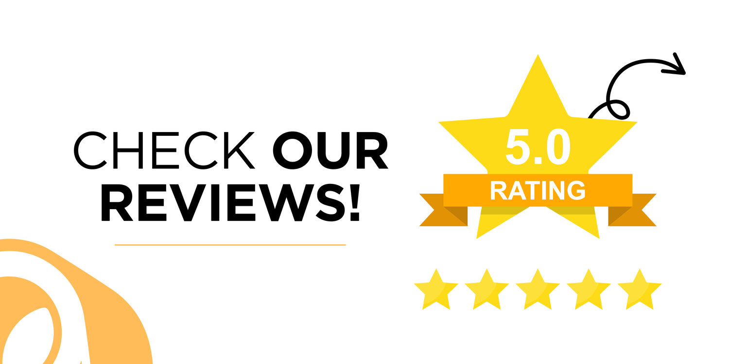 Explore Our Reviews