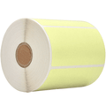  Ice Green Nametag Sticker Direct Thermal  Label Roll 